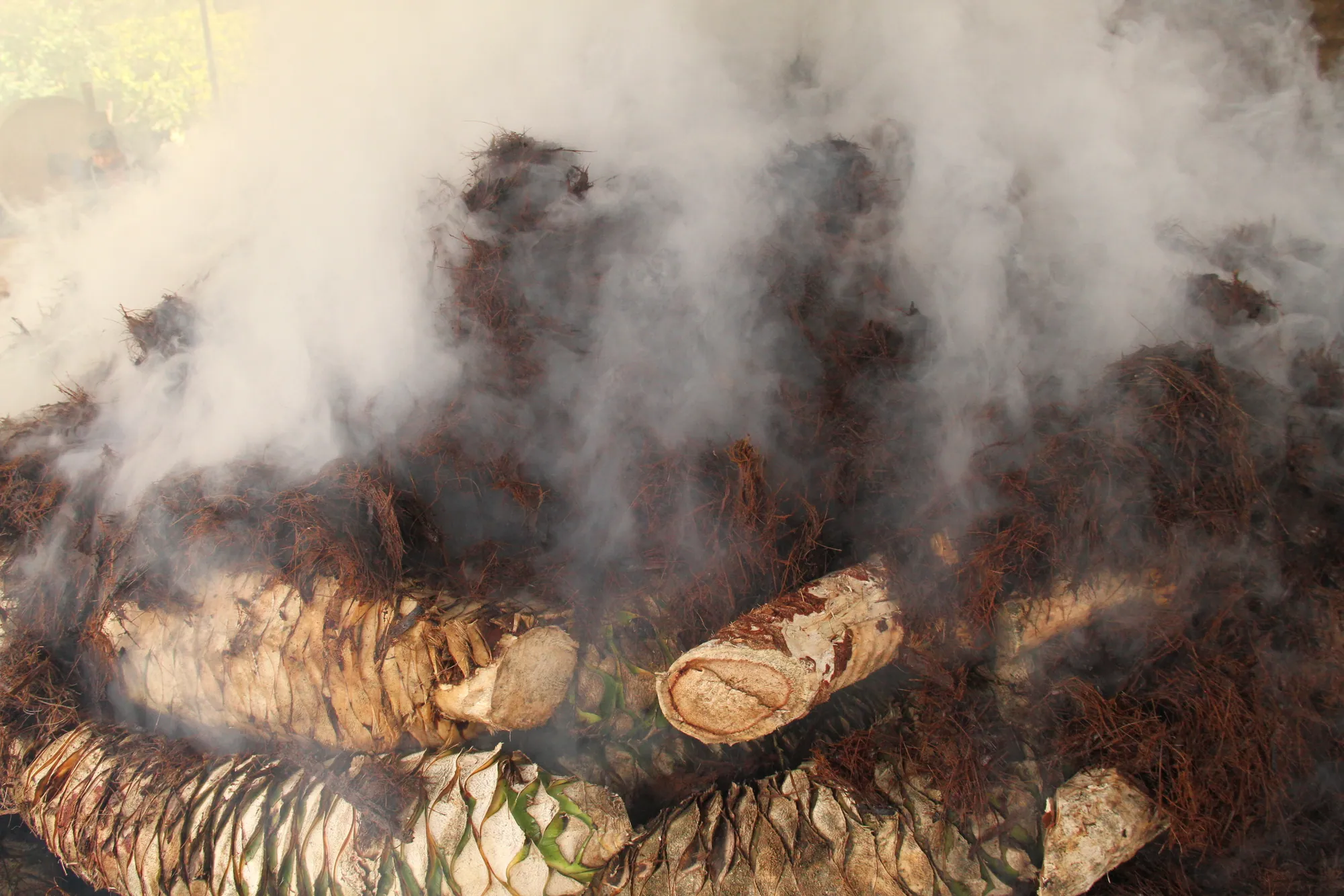 The Summer of Mezcal — Why 2026 Is the Season to Sip Slowly