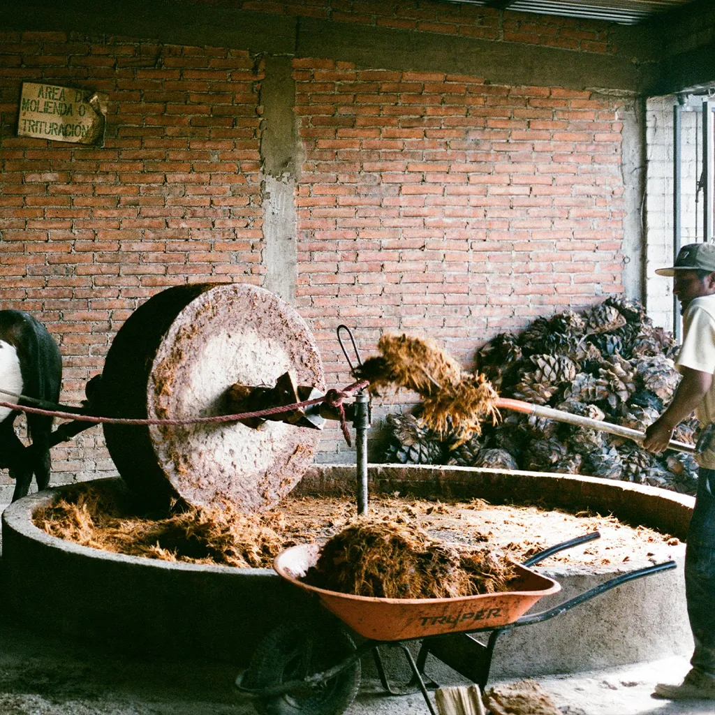 The Smoky Soul of Mexico: Unraveling the Mystique of Mezcal