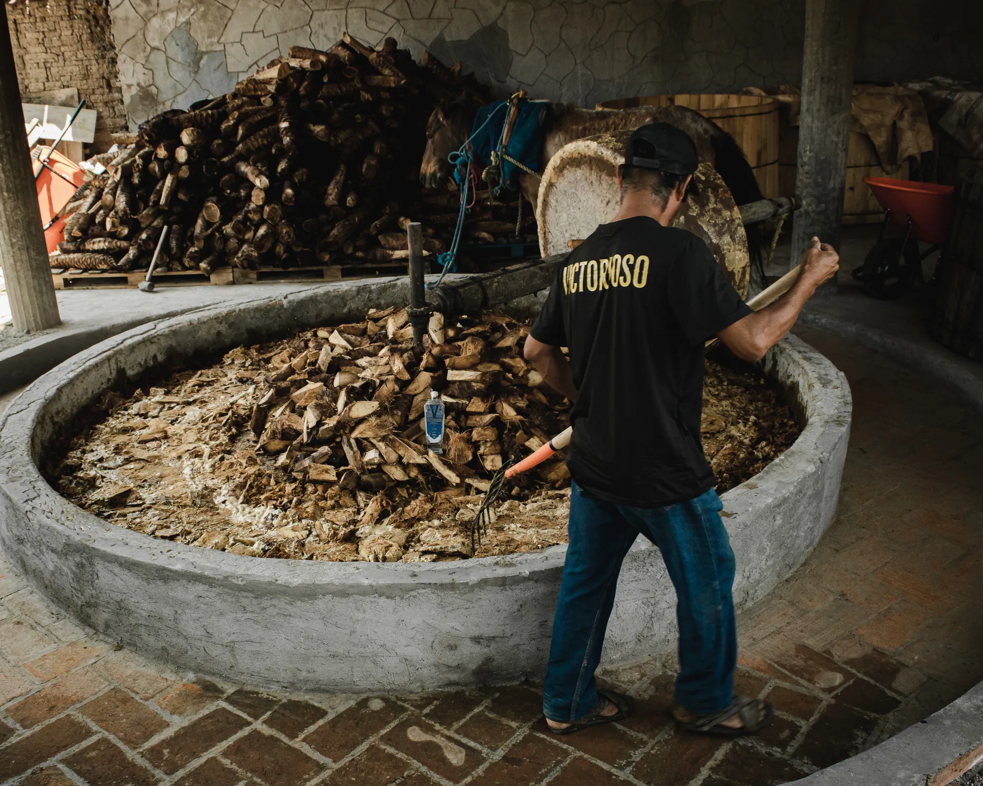 How to Taste Mezcal Like a Maestro — A Five-Sense Guide