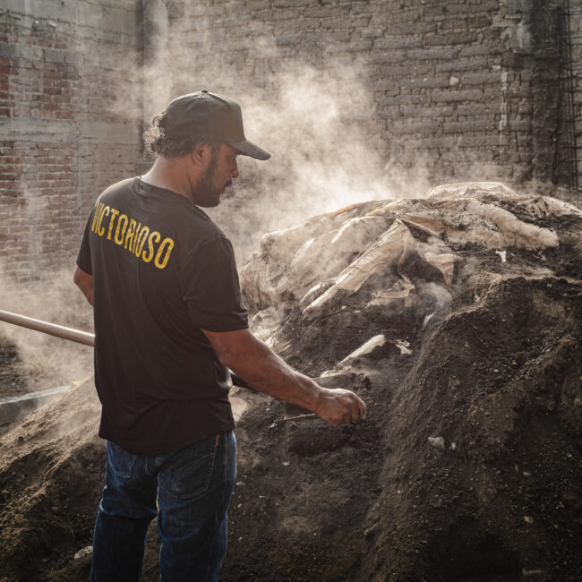 process of making Victorioso mezcal