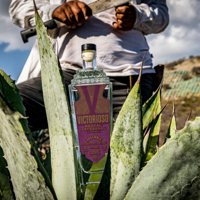 Mezcalero in the fields of agave bottle of mezcal